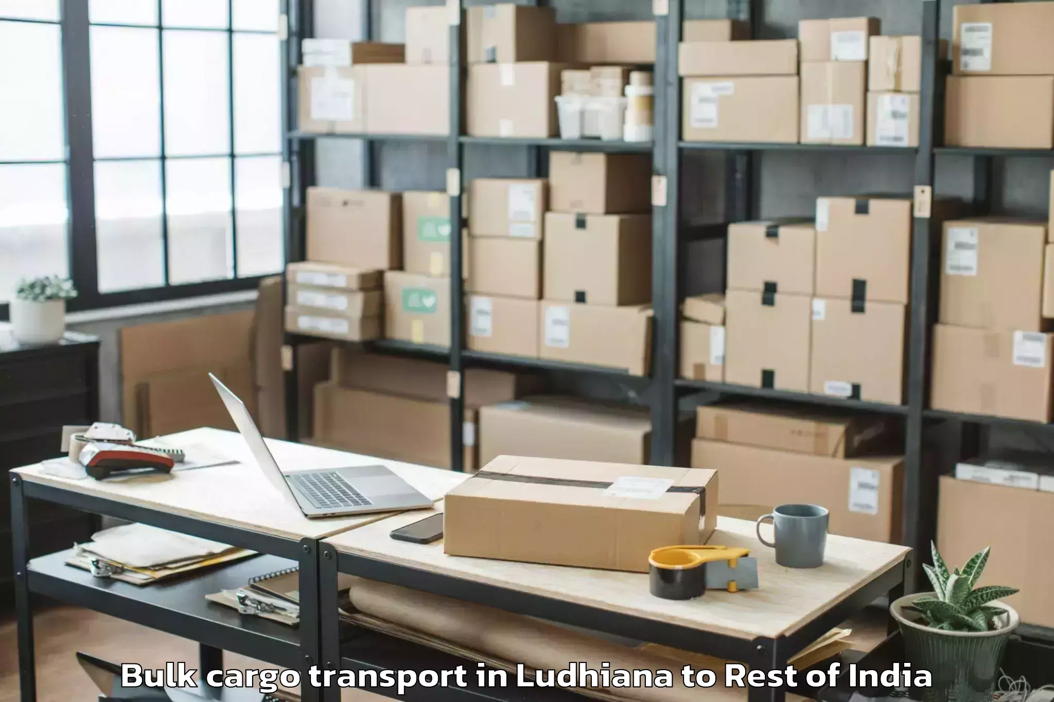 Trusted Ludhiana to Srinagar Airport Sxr Bulk Cargo Transport